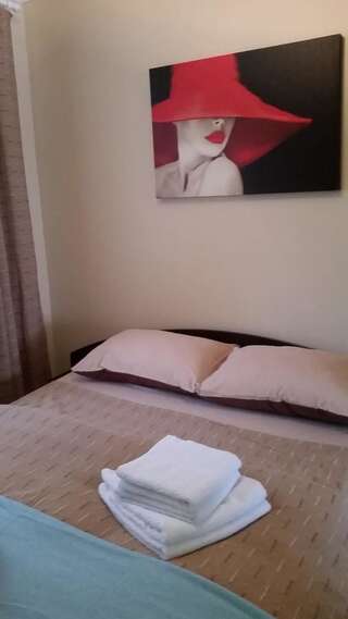 Дома для отпуска Casa Ada Arpaşu de Sus Three-Bedroom House - Casa David-14