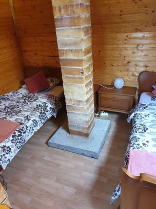 Дома для отпуска Casa Ada Arpaşu de Sus Three-Bedroom House - Casa David-15