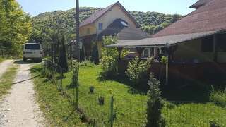 Дома для отпуска Casa Ada Arpaşu de Sus Three-Bedroom House - Casa David-2