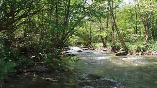 Дома для отпуска Casa Ada Arpaşu de Sus Three-Bedroom House - Casa David-21