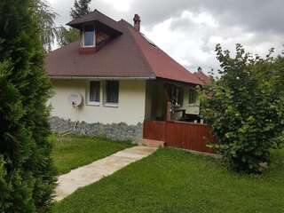 Дома для отпуска Casa Ada Arpaşu de Sus Three-Bedroom House - Casa David-23