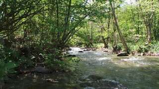 Дома для отпуска Casa Ada Arpaşu de Sus Three-Bedroom House - Casa David-32