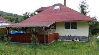 Дома для отпуска Casa Ada Arpaşu de Sus Three-Bedroom House - Casa David-35