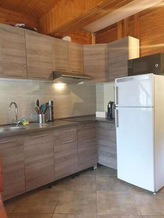 Дома для отпуска Casa Ada Arpaşu de Sus Three-Bedroom House - Casa David-41