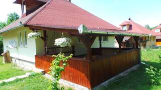 Дома для отпуска Casa Ada Arpaşu de Sus Three-Bedroom House - Casa David-8