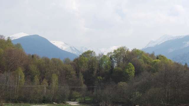 Дома для отпуска Casa Ada Arpaşu de Sus-22