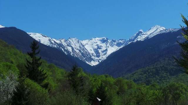 Дома для отпуска Casa Ada Arpaşu de Sus-27