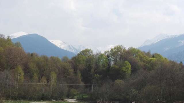 Дома для отпуска Casa Ada Arpaşu de Sus-28